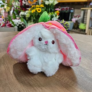 N°6 coniglietto dentro fragolina