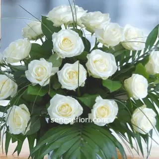 Bouquet 12 Rose Bianche