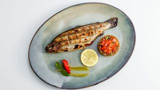 Радужная форель