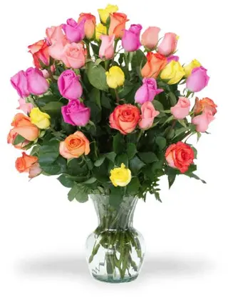 10 Rose colorate mix cm 50