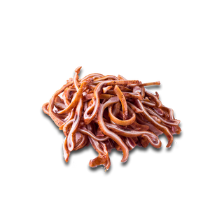 Urechiușe de porc