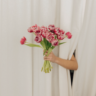 Ramo de tulipanes fucsias dobles. 16u