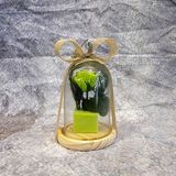 ROSA ETERNA CUPULA VERDE