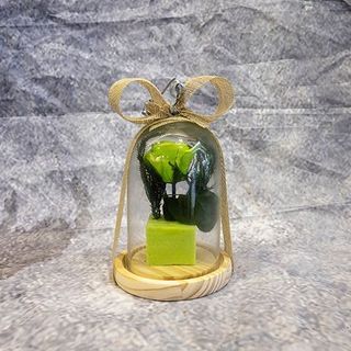 ROSA ETERNA CUPULA VERDE