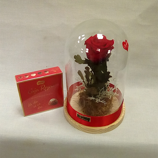 Cúpula con rosa eterna y bombones