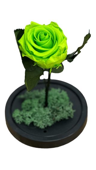 Trandafir Criogenat Verde