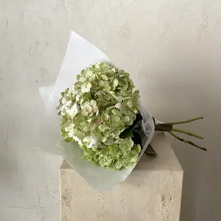 Ramo de tres hortensias