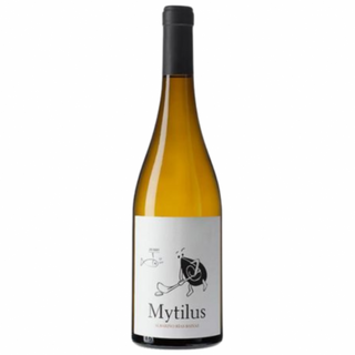 Mytilus