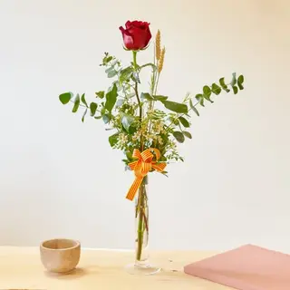 Rosas Sant Jordi (2ud)