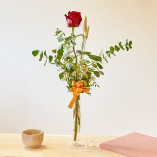 Rosas Sant Jordi (2ud)