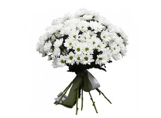 9 Хризантеми, Бели | 1 pieces