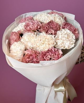 Bukiet z 15 delikatnych goździków 