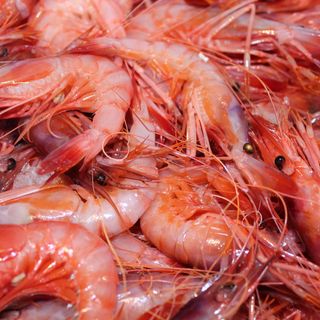 Gambes de costa a la planxa