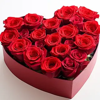 Rose in scatola