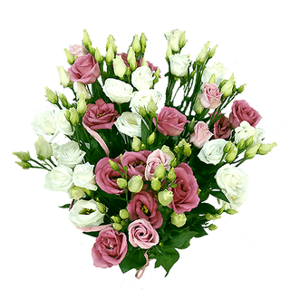 Bukiet z 5 szt. eustom