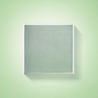 Insalata goma wakame - piatto vegano