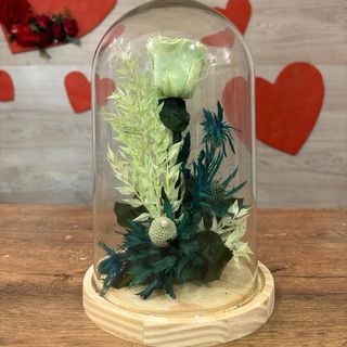 CUPULA ROSA ETERNA VERDE