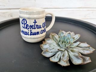 Cana ceramica Pentru cel mai bun coleg