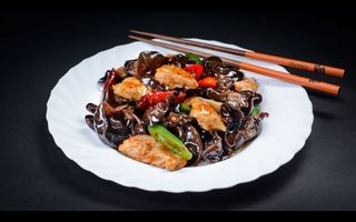 Pui cu urechi de lemn