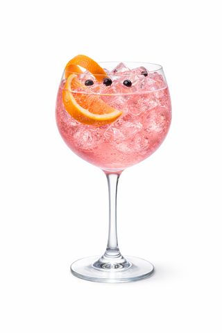 Gin Tonic Pink XXL 1L