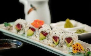 101. Tuna Roll (8 Uds.)