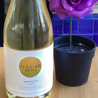 PAGO DE LOS CAPELLANES O LUAR DO SIL