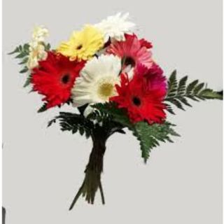 GERBERE MIX COLOR MAZZO DA 7 PZ.