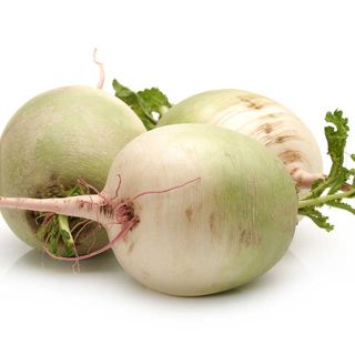 Nabo blanco 