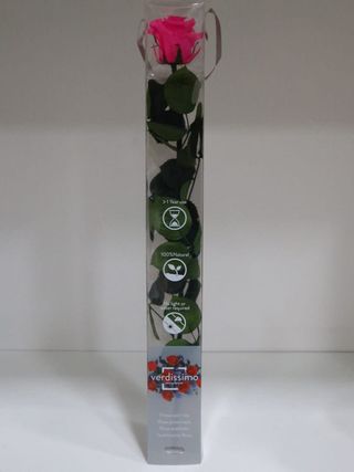 Trandafir Criogenat Roz La Fir