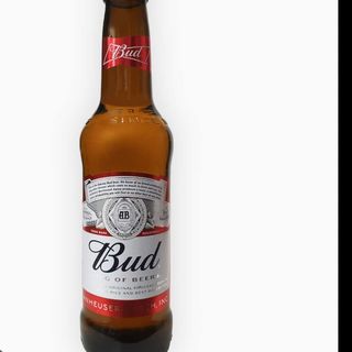 Bud 33 cl