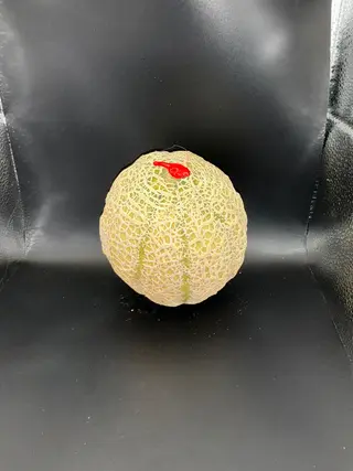 Melone Retato 1,5 kg