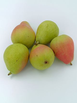 PERA ERCOLINA DE TEMPORADA (Aprox. 500 Gr.)