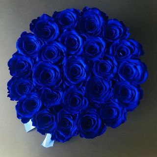 ლურჯი ჰოლანდიური ვარდები #1