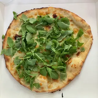 Rucola