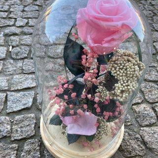 Cúpula Rosa Eterna Cor de Rosa