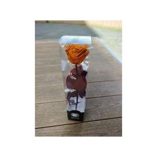 Rosa preservada PQ Naranja