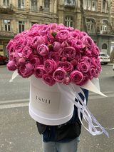 Valentine's collection #4