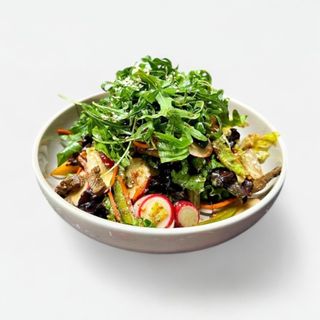 салат Calista 1 