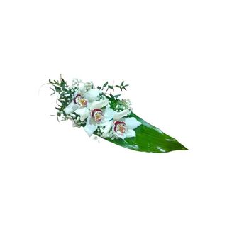 3 Orquídeas Brancas