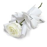 Fleur blanc individuelle avec carte 