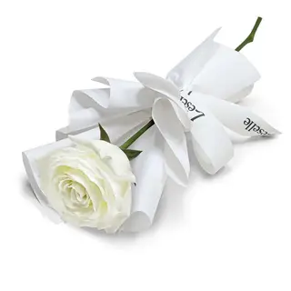 Fleur Blanc Individuelle Avec Carte