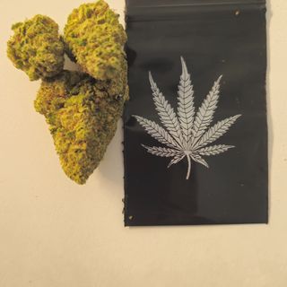 CBD Cvijet Northern Lights, 5g