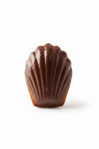 Madeleine chocolat