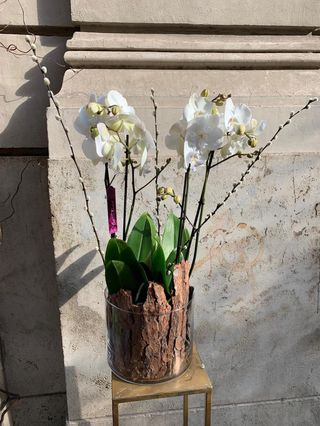  Vaso cilindrico vetro trasparente