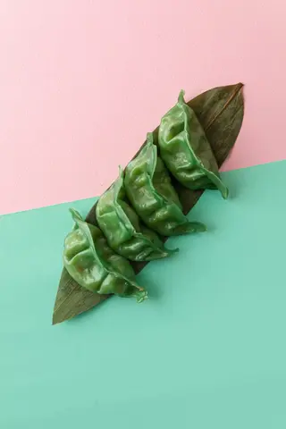 Gyoza alle verdure