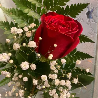 Una rosa roja decorada