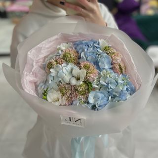 Небесна мрія 