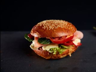 SandwiGelu cu sunca Praga