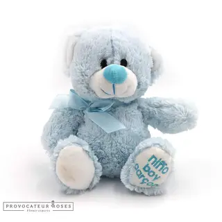 Teddy bear niño