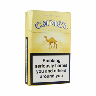 Camel